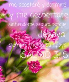 a picture of pink flowers with the words " me acostare y dormire y me despertare sintiendome seguro "