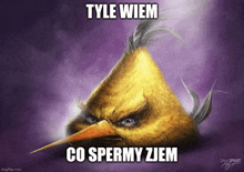 a picture of an angry bird with a caption that says " tyle wiem co spermy zjem "