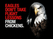 a bald eagle with the words eagles do n't take flight lessons from chickens above it