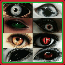 a collage of different types of eyes with a red border