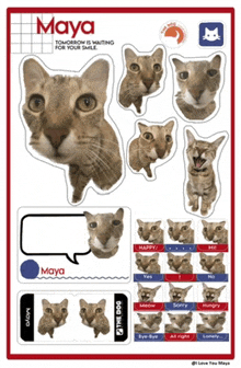 a sticker of a cat with the name maya