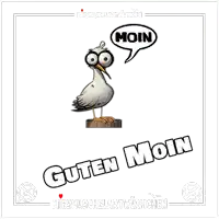 a cartoon seagull with a speech bubble that says " moin "