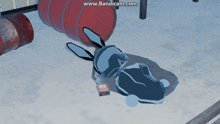 a video of a rabbit laying in the snow with the words www.bandicam.com visible