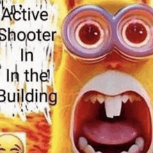 a picture of a cat wearing glasses with the words active shooter in the building below it .