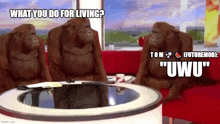 three orangutans are sitting on a couch in a living room .