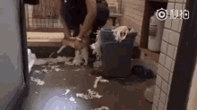 a man is kneeling down in a bathroom with a trash can filled with toilet paper on the floor .