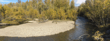 a river surrounded by trees and rocks in the middle