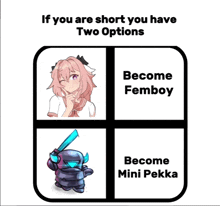 a poster that says if you are short you have two options become femboy become mini pekka