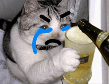 a cat crying while holding a bottle of yebisu