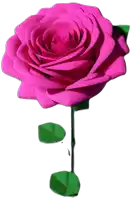 a pink rose with a green stem and leaves