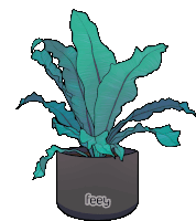 a drawing of a plant with the word feey on the bottom