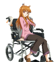 a girl in a wheelchair with the letter s on the side