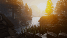 a river surrounded by trees and rocks with the sun shining through