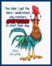 a rooster with a quote that says the older i get the more i understand why roosters scream