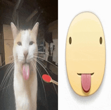 a cat sticking its tongue out next to a yellow smiley face