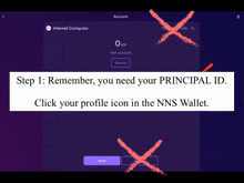 a screenshot of a computer screen that says step 1 remember you need your principal id click your profile icon in the ns wallet