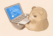 a cartoon of a cat sitting in front of a laptop with the word korebeans written on the top