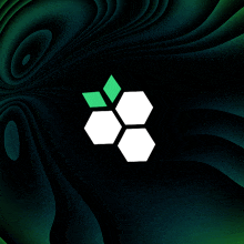 a white hexagon with green leaves on a black background