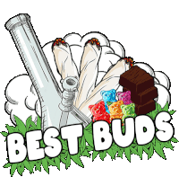 a drawing of a bong gummy bears and chocolate with the words best buds below it