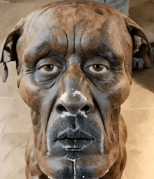 a statue of a dog with a face painted like a human