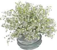 a bunch of lily of the valley flowers in a vase