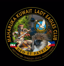 a logo for the lady eagles club with a woman holding a sword