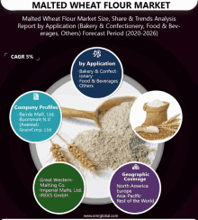 a poster showing the malted wheat flour market size share & trends analysis report by application