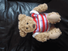 a teddy bear wearing a red and purple striped shirt