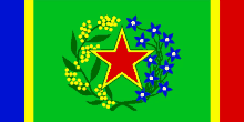 a green flag with a red star surrounded by yellow and blue flowers