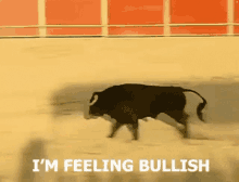 a bull is running in a bullring with the words `` i 'm feeling bullish '' written on it .