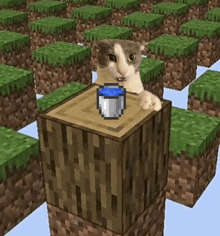 a cat sitting on top of a wooden block with a pixelated bucket of water