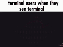 terminal users when they see terminal in a game