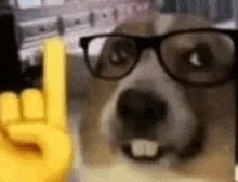 a dog wearing glasses and a yellow hand is making a rock and roll sign .