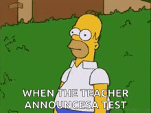 homer simpson from the simpsons is standing in a grassy field and talking about a test .