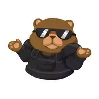 a bear wearing sunglasses and a black jacket