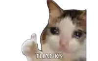 a crying cat is giving a thumbs up and the words `` thanks '' underneath it .