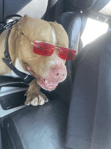 a dog wearing red sunglasses is sitting in a car seat