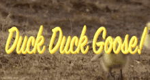 a yellow sign that says duck duck goose in front of a duck