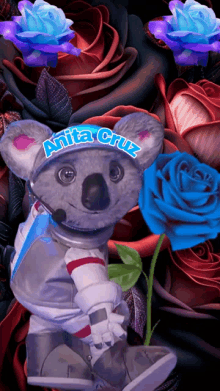 a koala bear with the name anita cruz on its hat