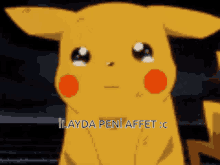 a pikachu is crying with the words ilayda peni affet written below it