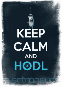 a poster that says keep calm and hodl with a cartoon character on it