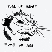 a drawing of an opossum with the words pure of heart dumb of ass written below it