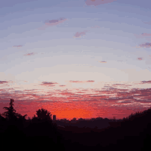 a sunset with trees in the foreground and a few buildings in the background