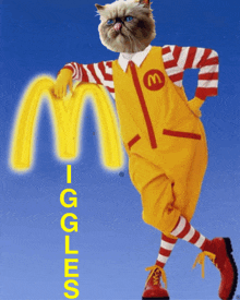 a cat in a mcdonald 's costume stands in front of a mcdonald 's sign