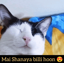 a black and white cat with its eyes closed and the words mai shana billi hoon below it