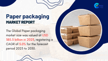 a paper packaging market report with a picture of boxes