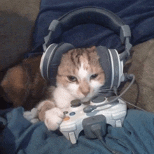 a cat is wearing headphones and holding a video game controller