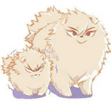 a couple of pomeranian dogs standing next to each other .