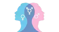 a blue and pink silhouette of a person with gender symbols