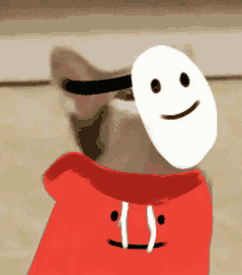 a cat wearing a red hoodie and a white mask with a smiling face on it